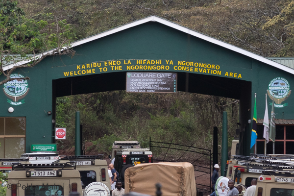 Ngorongoron suojelualueen portti