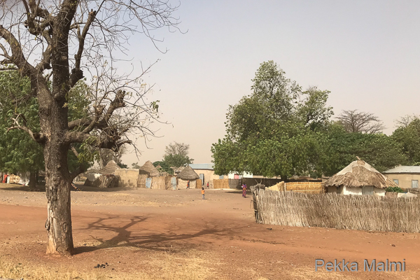 Hiljainen pikkukylä Senegalissa